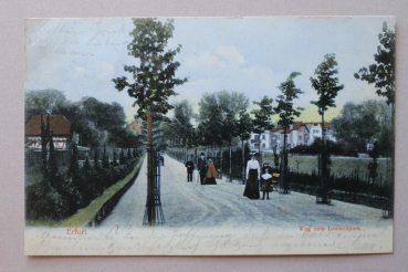 Postcard PC Erfurt 1906 Way to Louisenpark street houses Town architecture Thueringen
